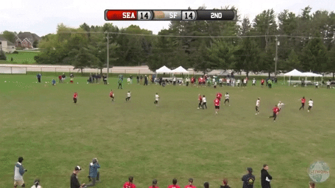 flikulti ultimate frisbee flik GIF