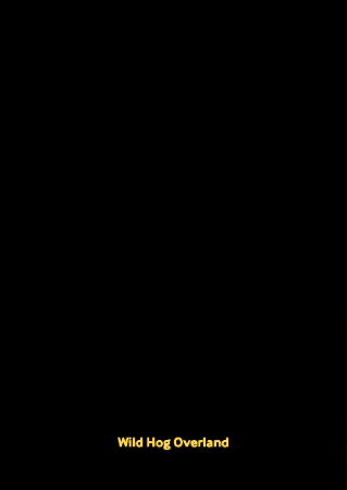 Wild Hog GIF by Wild Hog Overland
