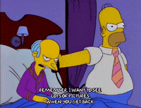 homer simpson GIF