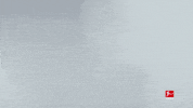 So What Reaction GIF by Bundesliga