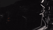 Brand Adventure GIF by Harley-Davidson