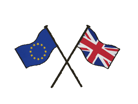 eu-uk flag Sticker by European Parliament