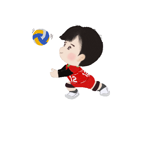 Volleyball Sticker