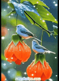 Feliz Flores GIF by Murcianys LLC