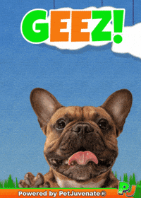 Henlo Hooman Fren GIF by PetJuvenate - PJ