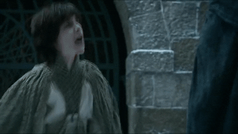 game of thrones team GIF