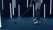 North Carolina GIF by UNC Tar Heels