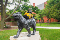 uwmilwaukee funny university mascot campus GIF