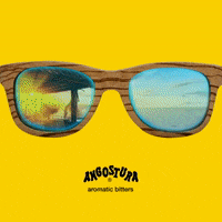 sunglasses GIF by Angostura