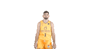 Liga Endesa Basketball Sticker by ACB