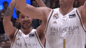 Real Madrid Basketball GIF by ACB