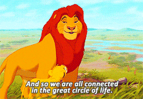 giphman9691 giphyupload lion king circle of life GIF
