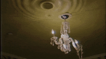 meowwolf trippy meow wolf meowwolf meow wolf santa fe GIF