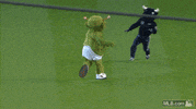Houston Astros GIF by MLB