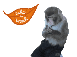 Fun Monkey Sticker