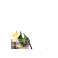 dis_noordkade hot drink water tea Sticker