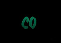 lignumambientaljr ej mej conectada lignum empresajunior GIF
