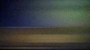 Pokemon Tcg GIF by Pokémon
