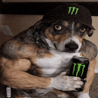 Good Boy Axle GIF