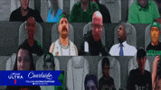 GIF by NBC Sports Boston