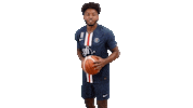 James Harden Sticker by Paris Saint-Germain Handball