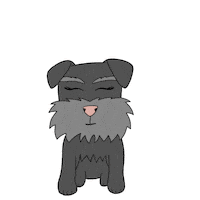 Dogs Schnauzer Sticker