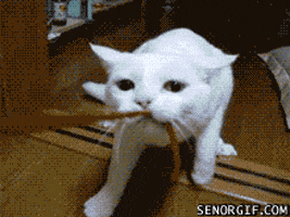 playing get a job GIF by Cheezburger