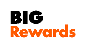 loyalty rewards Sticker by Big Lots