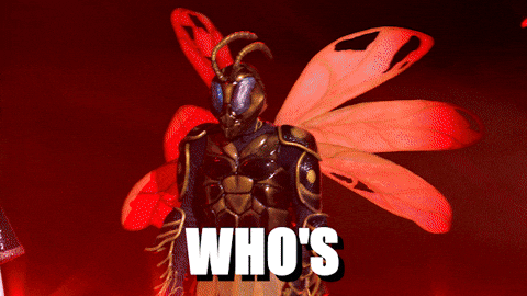 Themaskedsinger GIF by Reality Club FOX