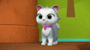Dance Cat GIF by Moonbug