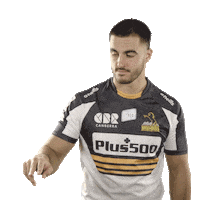 Super Rugby Sticker by BrumbiesRugby