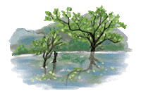 South Korea Travel Sticker by vank