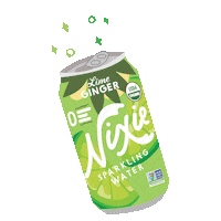 drinknixie sparklingwater nixie nixie sparkling water nixiesparklingwater Sticker