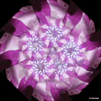 art geometry GIF by Michel Poisson