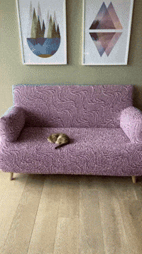 Sleepy Cat GIF by mammamiacovers