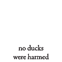 Duck Sticker by Fossa Chocolate