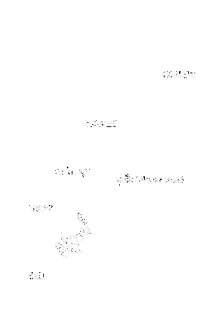 FaszinationMosel giphyupload river wein koblenz Sticker