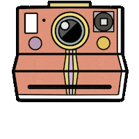 studioneuhaus instagram color photography photo Sticker