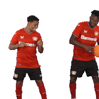 Happy Good Vibes Sticker by Bayer 04 Leverkusen