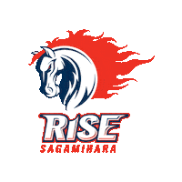 Sagamihara-Rise rise nojima ライズ アメフト Sticker