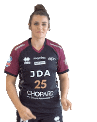 Handball Valero Sticker by JDA Dijon Basket
