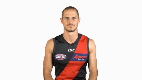 essendonfc giphyupload dons bombers essendon GIF