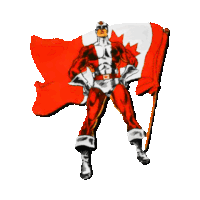 Canada Flag Sticker by imoji