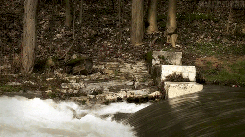 water GIF