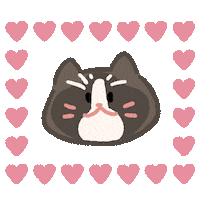 Cat Love Sticker