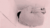UnearthedFilms horror movies horror films unearthed films stephen biro GIF