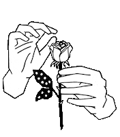 Black And White Love Sticker by saroufim