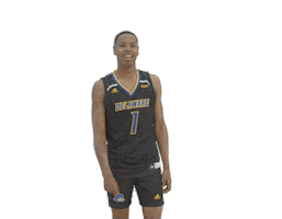 Kevin Anderson Basketball Sticker by Delaware Blue Hens