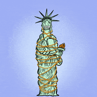 Right To Vote Use Your Voice GIF by Creative Courage