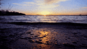 Water Sunset GIF by Living Stills